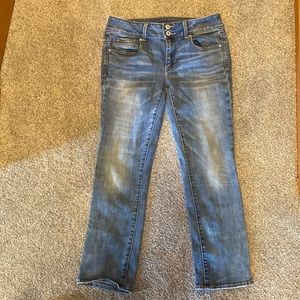 American Eagle Artist Crop Jeans